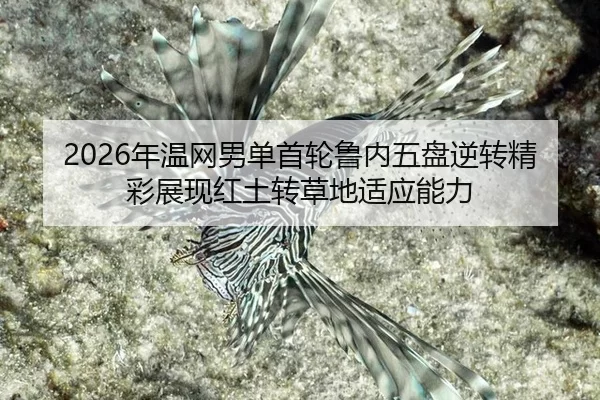 nian-wen-wang-nan-dan-shou-lun-lu-nei-wu-pan-ni-zhuan-jing-cai-zhan-xian-hong-tu-zhuan-cao-di-shi-ying-neng-li-2-648.jpg