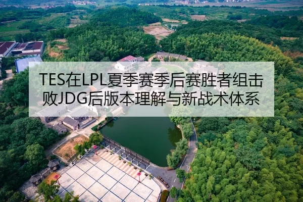 TES在LPL夏季赛季后赛胜者组击败JDG后版本理解与新战术体系